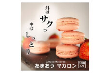 焼き菓子 外はさっくり中はしっとり あまおう マカロン 10個入り 菓子 焼菓子 おやつ 平岡学園