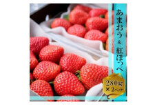 いちご いちごの王様 あまおう＆紅ほっぺ 各1パック (280g×2) イチゴ 苺 果物 デザート ベリー畑 福田ファーム ※配送不可：沖縄、離島