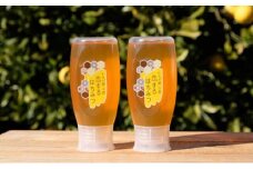はちみつ 恋するはちみつ もちの木プレミアム 500g×2本 国産 天然 純はちみつ スタンド式ボトル ハチミツ 蜂蜜 ハニーベル