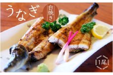 かけはし 創業40年 全てが職人による手焼き うなぎの白焼き 1尾