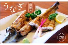 かけはし 創業40年 全てが職人による手焼き うなぎの白焼き 2尾