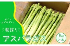 【先行予約】発送2025年4月 アスパラガス 小郡産 朝採りアスパラガス 1kg (L、2Lサイズ混) 野菜 永利農園