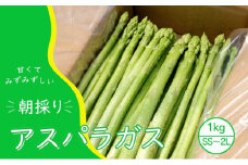 【先行予約】発送2025年4月 アスパラガス 小郡産 朝採りアスパラガス 1kg (SS、S、M、L、2Lサイズ混) 野菜 永利農園