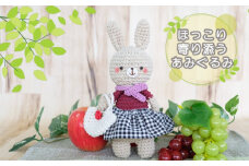 雑貨 ほっこり寄り添う あみぐるみの着せ替えセット うさぎちゃん あみぐるみ