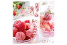 いちご 冷凍いちご 1kg＆削りいちご 400g 練乳付き イチゴ 苺 果物 デザート ベリー畑 福田ファーム ※配送不可：沖縄、離島