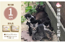 ドリップコーヒー さくらねこサポートOGORI 保護猫活動を応援！ コーヒー ドリップパック 10袋入り 珈琲 飲料