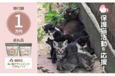 珈琲 さくらねこサポートOGORI 保護猫活動を応援！ コーヒー豆 100g×2袋 コーヒー 飲料