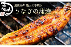 創業40年 全てが職人による手焼き うなぎの蒲焼き 3尾