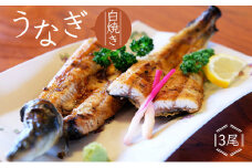 かけはし 創業40年 全てが職人による手焼き うなぎの白焼き 3尾