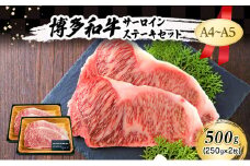 A4～A5 博多和牛 サーロイン ステーキ セット 500g (250g×2枚) 肉 牛肉 ※配送不可：離島