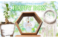 インテリア HAPPY BOX ～運気を引き寄せる4つのアイテム～ ガジュマル・木製プランター・サンキャッチャー・ドリームキャッチャー 雑貨