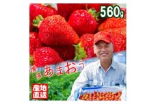 いちご 産地直送 栽培期間中 減農薬栽培 あまおう 2パック (約280g×2) イチゴ 苺 先行予約 ※配送不可：北海道、沖縄、離島