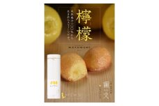 ケーキ 果汁たっぷりコロコロプチ レモンケーキ 『繭文-mayubumi-』8個入り お菓子 菓子