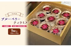 お菓子 低糖質 手作り ブルーベリーティラミス ケーキ 菓子 ティラミス