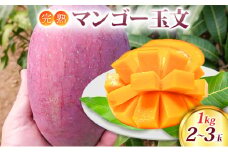 マンゴー 完熟マンゴー 玉文 1kg (2～3玉) 果物