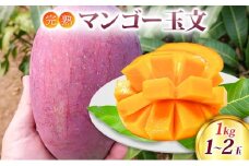 マンゴー 完熟マンゴー 玉文 1kg (1～2玉) 果物
