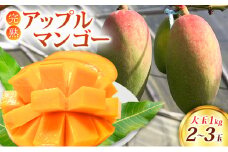 マンゴー 完熟 アップルマンゴー 1kg (大玉2～3玉) 果物