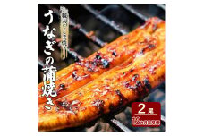 定期便 12回 うなぎ 職人による手焼き うなぎの蒲焼き 定期便(2尾×12カ月) ウナギ