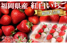 いちご いただきいちご園 厳選 2品種 色鮮やかなめでたい 紅白いちご ボリューム セット 食べ比べ 果物 デザート