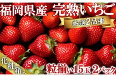 いちご いただきいちご園 食べ比べ 厳選 2品種 粒ぞろい (15玉入り×2パック) 化粧箱入 果物 デザート イチゴ 苺