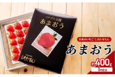 いちご 1月配送 しあわせもん あまおう 化粧箱 1箱 いちご職人 白木のいちご イチゴ 苺 果物 デザート ※配送不可：沖縄・離島