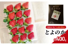 いちご いちご職人 白木のいちご しあわせもん とよのか 化粧箱 1箱 イチゴ 苺 果物 デザート ※配送不可：沖縄・離島