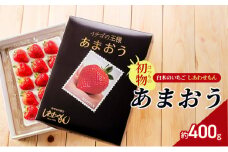 いちご 初物 2025年内にお届け あまおう 約400g (12～15粒) 白木のいちご しあわせもん イチゴ 苺 果物 デザート ※配送不可：沖縄・離島