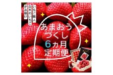 定期便 6ヶ月 いちご いちご職人 白木のいちご あまおうづくし 6回 コース イチゴ 苺 果物 デザート お楽しみ ※配送不可：沖縄・離島