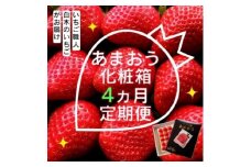 定期便 4ヶ月 いちご いちご職人 白木のいちご あまおう 化粧箱 1箱 4回 コース イチゴ 苺 果物 デザート お楽しみ ※配送不可：沖縄・離島
