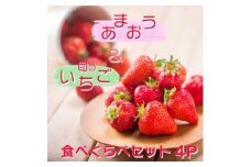 いちご いちご職人 白木のいちご 「あまおう2P」と「旬のいちご2P」 食べ比べ セット イチゴ 苺 果物 デザート ※配送不可：沖縄・離島