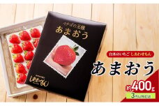 いちご 3月以降配送 しあわせもん あまおう 化粧箱 1箱 いちご職人 白木のいちご イチゴ 苺 果物 デザート ※配送不可：沖縄・離島