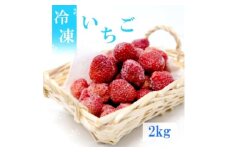 いちご 白木のいちご 旬のおいしさそのまま 冷凍いちご (品種混合) 2kg イチゴ 苺 果物 デザート ※配送不可：沖縄・離島