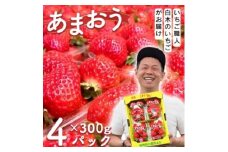 いちご いちご職人 白木のいちご あまおう 300g×4パック詰め (M～3Lサイズ) イチゴ 苺 果物 デザート ※配送不可：沖縄・離島