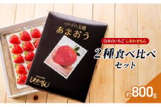 いちご 2種 食べ比べ セット いちご職人 白木のいちご あまおう 化粧箱 1箱 旬のいちご 化粧箱 1箱 イチゴ 苺 果物 デザート ※配送不可：沖縄・離島