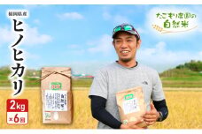 定期便 6ヶ月 米 たごもり農園の自然米 ヒノヒカリ 2kg 小郡産 栽培期間中 農薬不使用 お米 コメ 精米 6回 お楽しみ