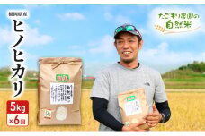 定期便 6ヶ月 たごもり農園の自然米 ヒノヒカリ 5kg 小郡産 栽培期間中 農薬不使用 お米 コメ 精米 6回 お楽しみ