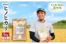 定期便 12ヶ月 たごもり農園の自然米 ヒノヒカリ 5kg 小郡産 栽培期間中 農薬不使用 お米 コメ 精米 12回 お楽しみ