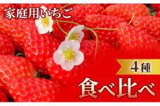 家庭用 いちご 4種 食べ比べ パック (1パック 6～15玉入り×4パック) イチゴ 果物 ご家庭用 ※配送不可：離島
