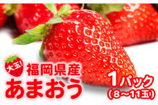 いちご 大玉！ 福岡県産 あまおう (1パック 8玉又は11玉入り) イチゴ 果物 ※配送不可：離島