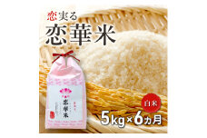 定期便 6回 ハニーベル 昔ながらの有機れんげ栽培 「恋華米」 5kg×6カ月