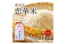定期便 12回 ハニーベル 昔ながらの有機れんげ栽培 「恋華米」 2kg×12カ月