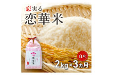 定期便 3回 ハニーベル 昔ながらの有機れんげ栽培 「恋華米」 2kg×3カ月
