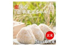定期便 6回 ハニーベル 昔ながらの有機れんげ栽培 「恋華米ロイヤル」 玄米 5kg×6カ月