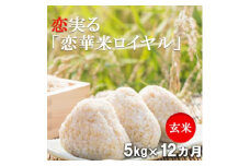 定期便 12回 ハニーベル 昔ながらの有機れんげ栽培 「恋華米ロイヤル」 玄米 5kg×12カ月