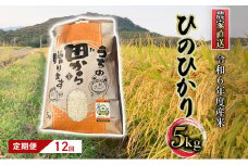 定期便12ヶ月 米 5kg 令和6年度産米 ひのひかり 筑後小郡産 農家直送 12回 お米 コメ お楽しみ