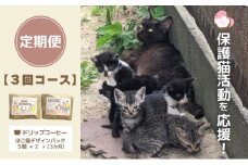 定期便 3回 コーヒー 保護猫活動を応援！ ドリップバッグ 10袋×3カ月 珈琲 ドリップコーヒー