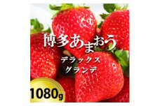 いちご 博多あまおう デラックス&グランデ 4パック 【お申込：2025年1月25日迄、配送：2月1日～2月15日】