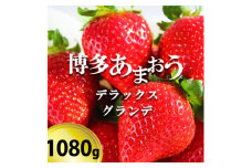 いちご 博多あまおう デラックス&グランデ 4パック 【お申込：2024年12月末迄、配送：2025年1月15日～1月31日】