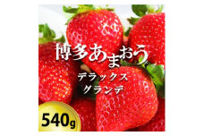 いちご 博多あまおう デラックス&グランデ 2パック 【お申込：2025年1月25日迄、配送：2月1日～2月15日】