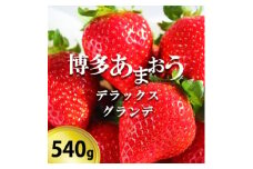 いちご 博多あまおう デラックス&グランデ 2パック 【お申込：2024年12月末迄、配送：2025年1月15日～1月31日】